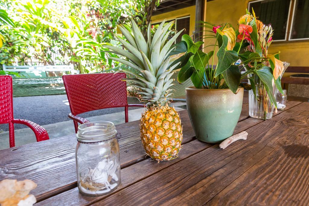 Nalu Kai Lodge Paia Hotel Exterior photo