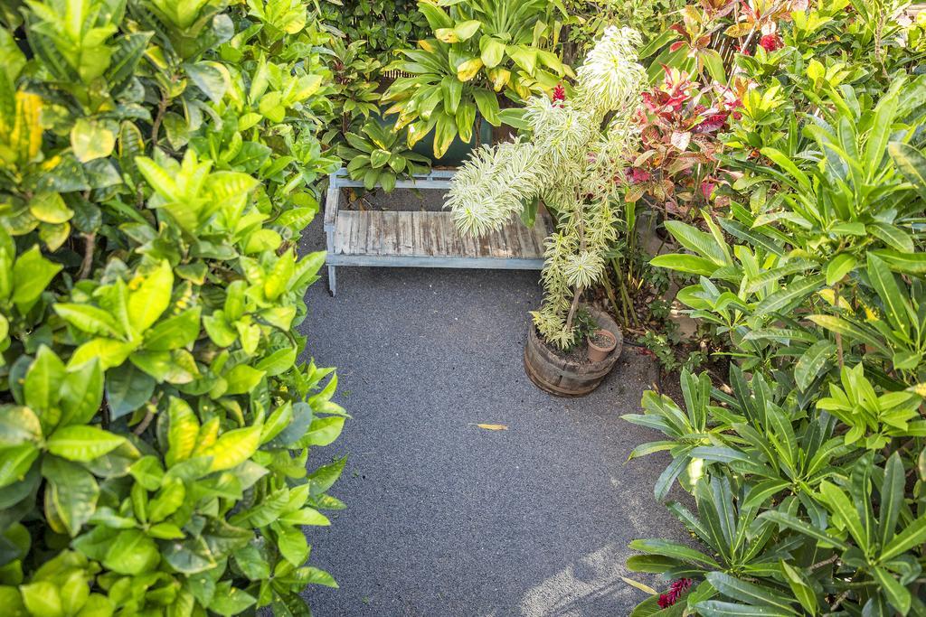 Nalu Kai Lodge Paia Hotel Exterior photo